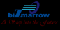biZmarrow Technologies Limited logo